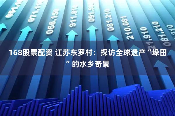 168股票配资 江苏东罗村：探访全球遗产“垛田”的水乡奇景